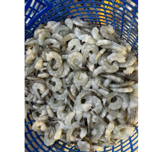 TÔM THẺ NGUYÊN CON ĐÔNG LẠNH 